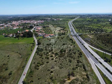 Terreno para Venda em Zibreira