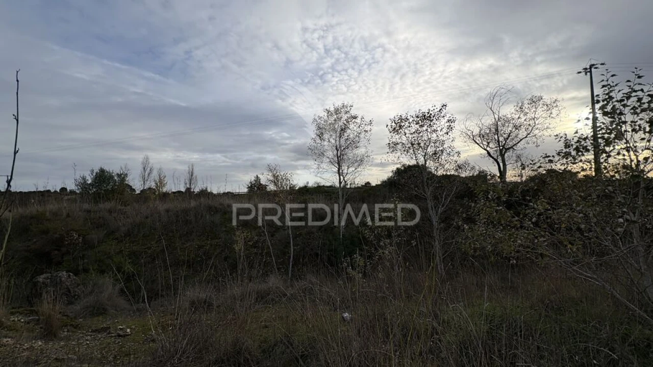 Terreno para Venda em Zibreira Foto 1