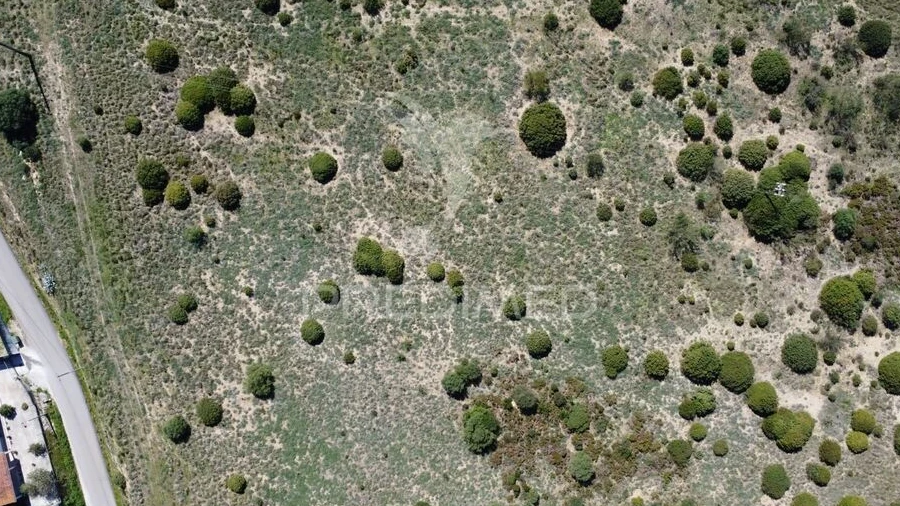Terreno para Venda em Zibreira
