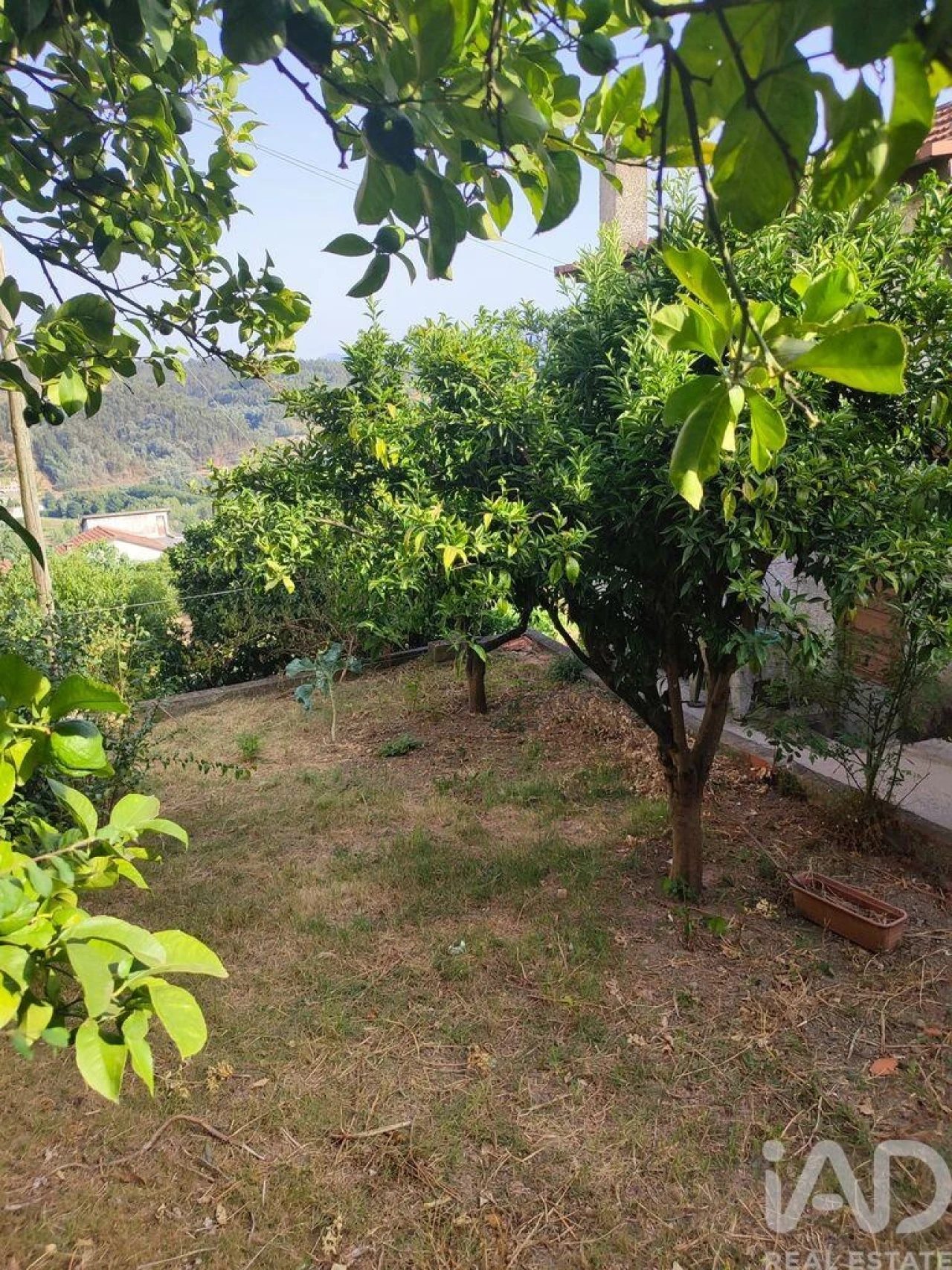 Moradia T3 para Venda em Penacova Foto 4