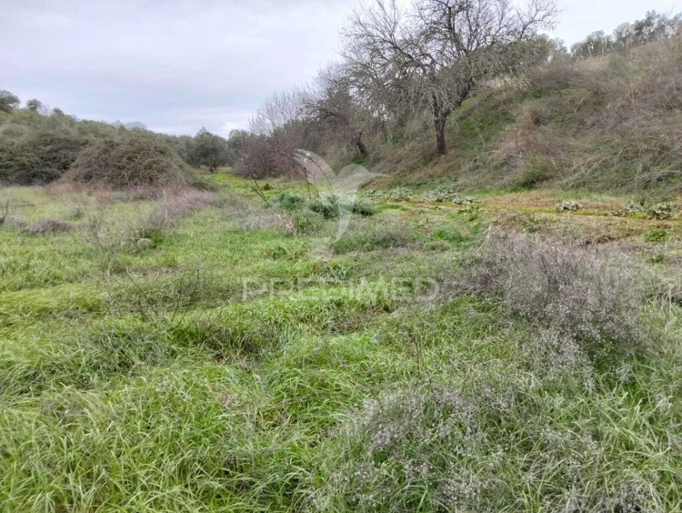Terreno para Venda em Capelins (Santo Antonio) Foto 2