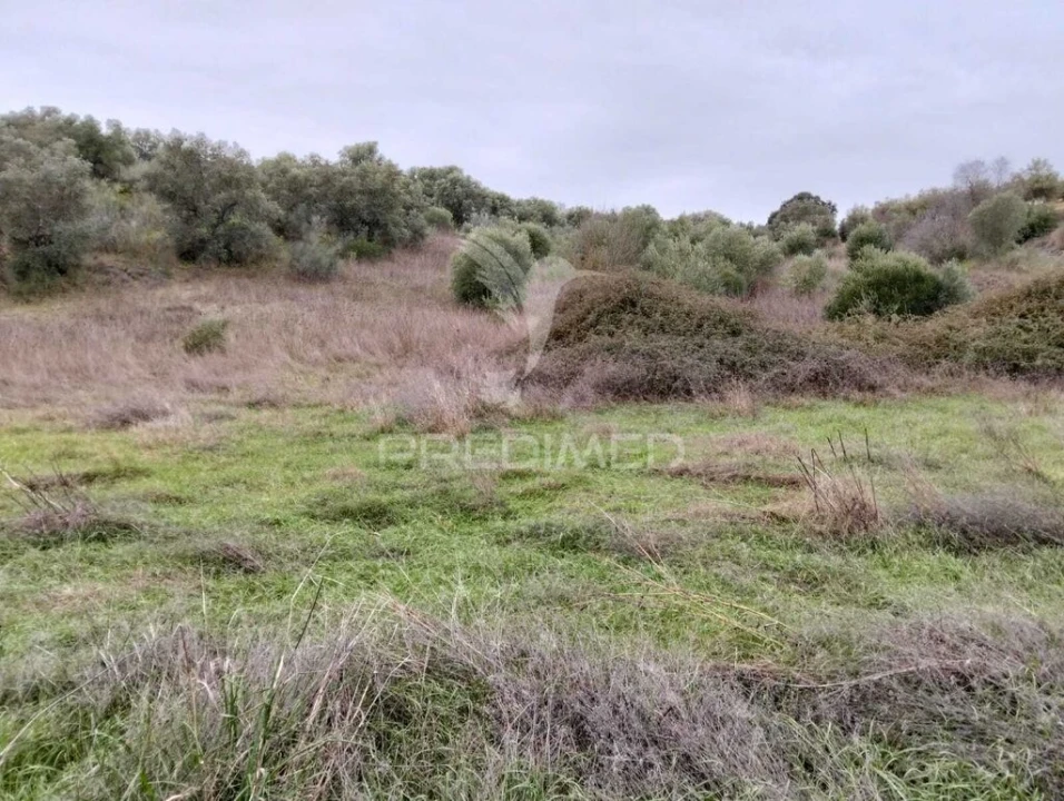Terreno para Venda em Capelins (Santo Antonio) Foto 7