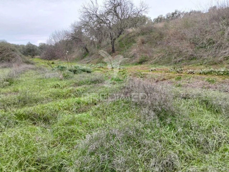 Terreno para Venda em Capelins (Santo Antonio) Foto 10