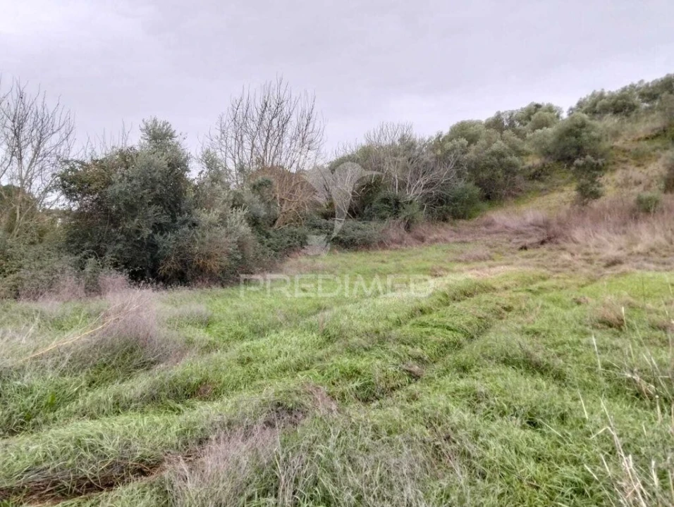 Terreno para Venda em Capelins (Santo Antonio) Foto 3