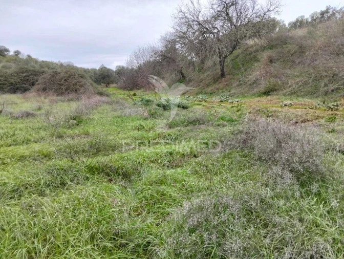 Terreno para Venda em Capelins (Santo Antonio) Foto 2