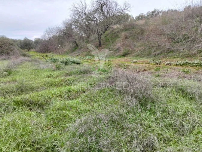 Terreno para Venda em Capelins (Santo Antonio) Foto 10