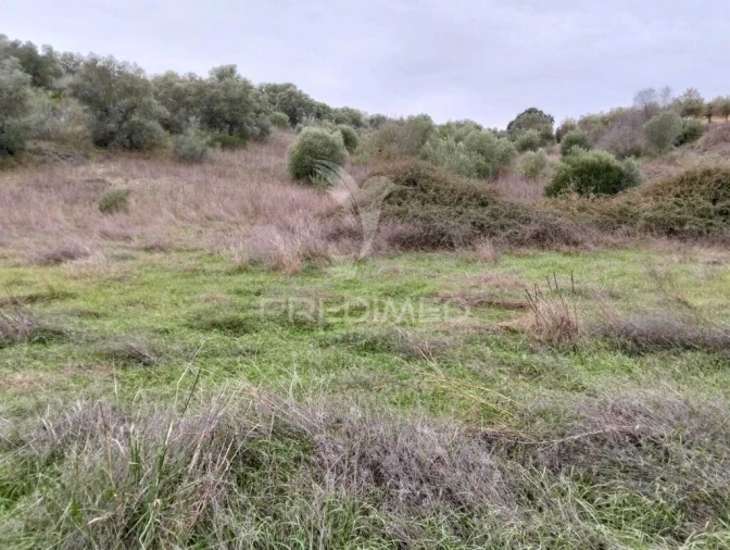 Terreno para Venda em Capelins (Santo Antonio) Foto 6