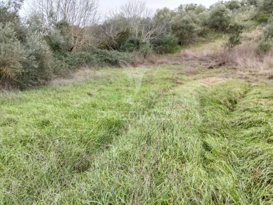 Terreno para Venda em Capelins (Santo Antonio) Foto 4