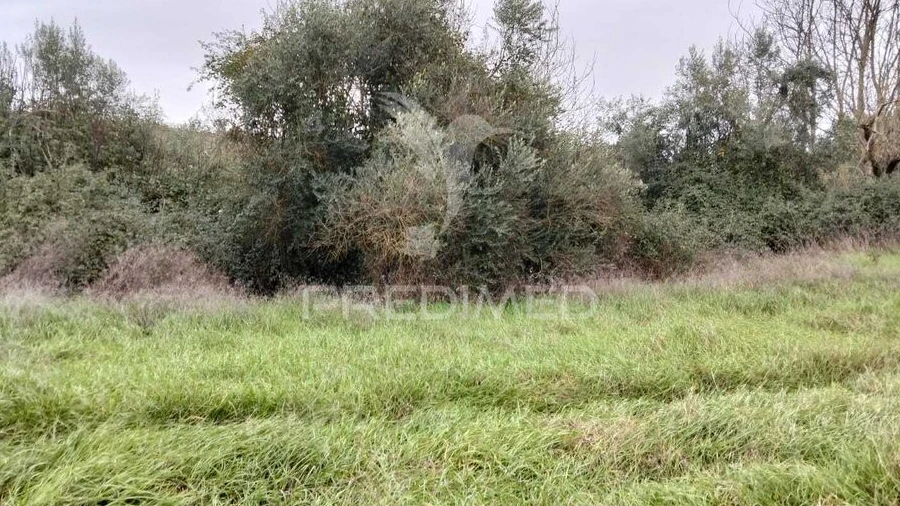 Terreno para Venda em Capelins (Santo Antonio)