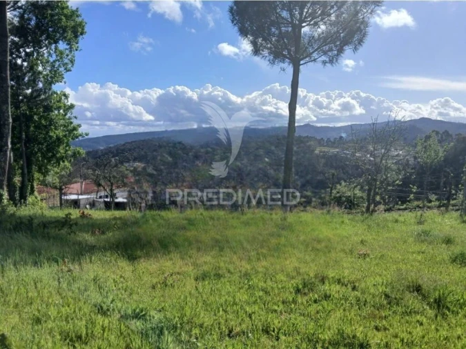 Terreno para Venda em Calvos e Frades Foto 2