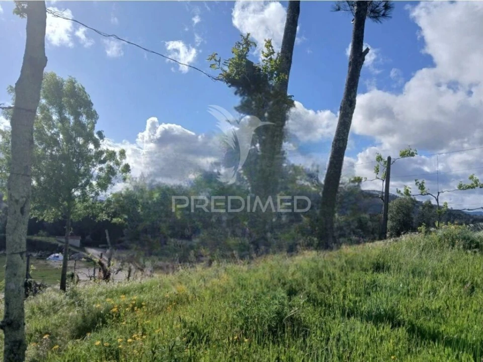 Terreno para Venda em Calvos e Frades Foto 4