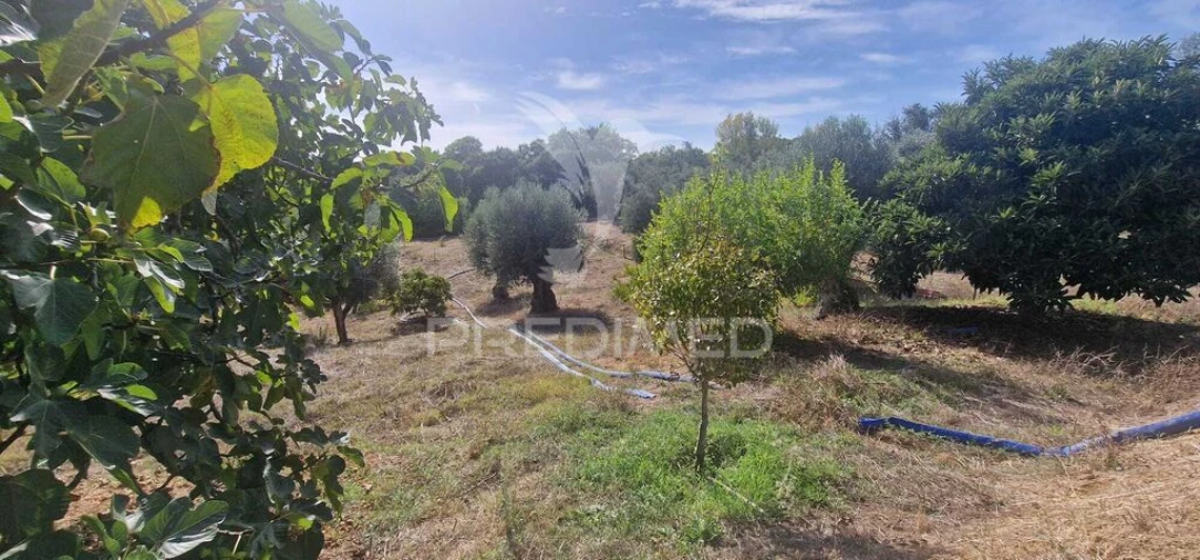 Moradia T2 para Venda em Além da Ribeira e Pedreira Foto 19