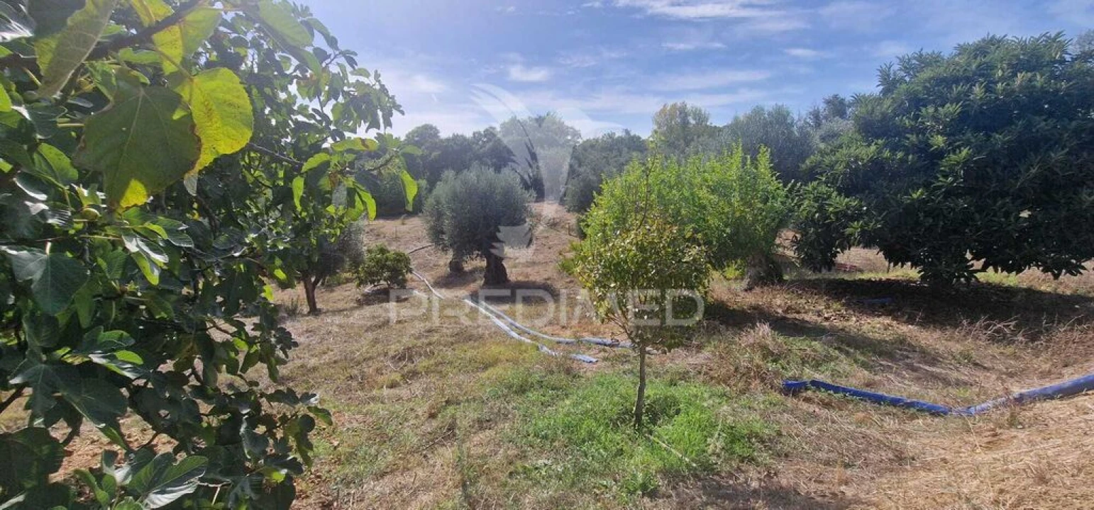 Moradia T2 para Venda em Além da Ribeira e Pedreira Foto 19