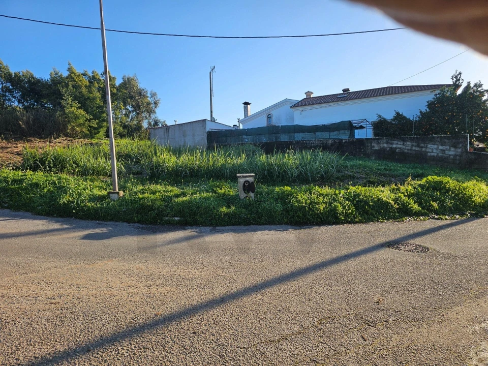 Terreno para Venda em Cernache Foto 14