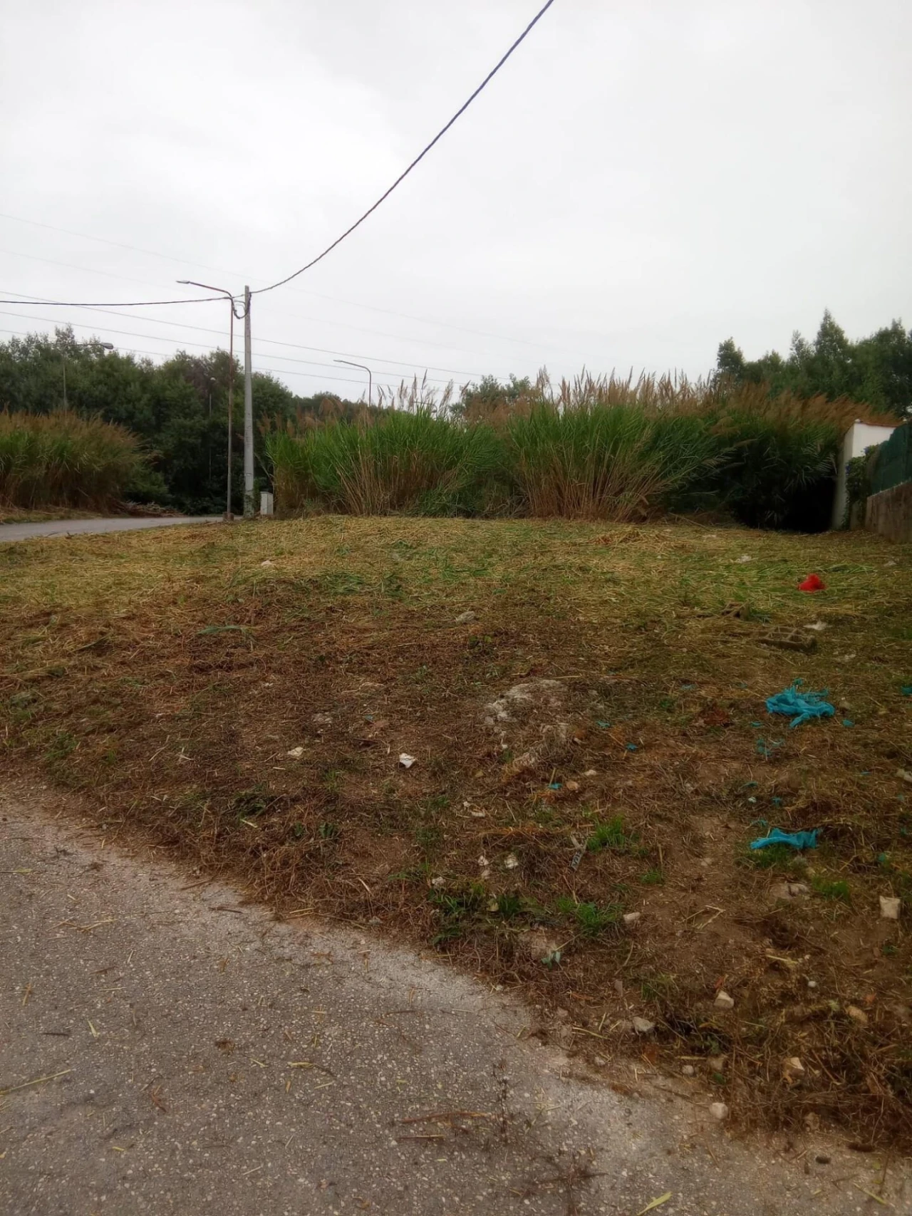 Terreno para Venda em Cernache Foto 6