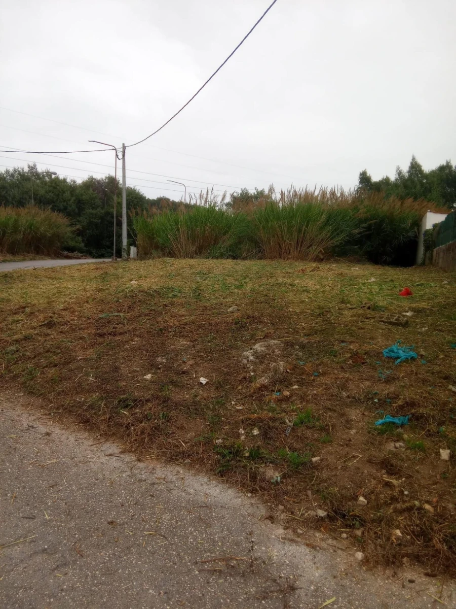 Terreno para Venda em Cernache Foto 6