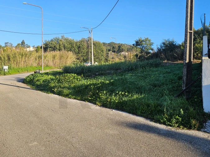 Terreno para Venda em Cernache Foto 15
