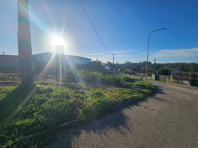 Terreno para Venda em Cernache Foto 10