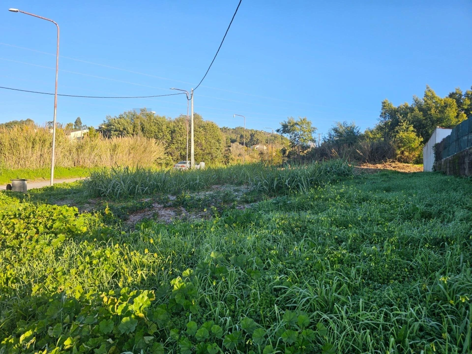 Terreno para Venda em Cernache Foto 17