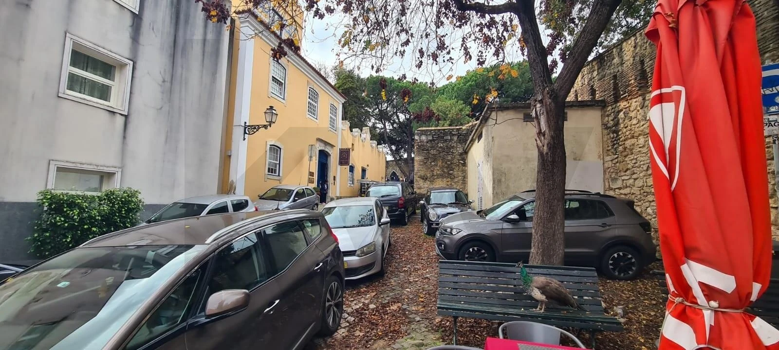 Negócio para Venda em Santa Maria Maior Foto 12