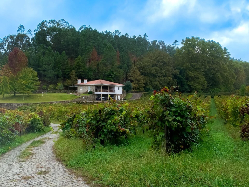 Quinta T3 para Venda em Bouro (Santa Maria) Foto 1