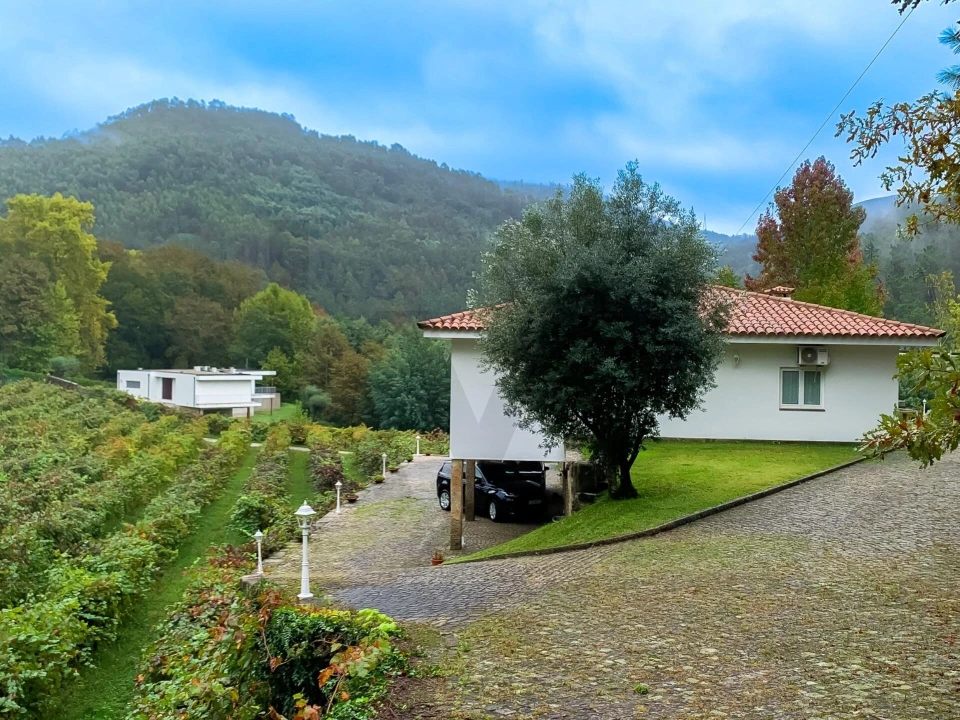 Quinta T3 para Venda em Bouro (Santa Maria) Foto 21