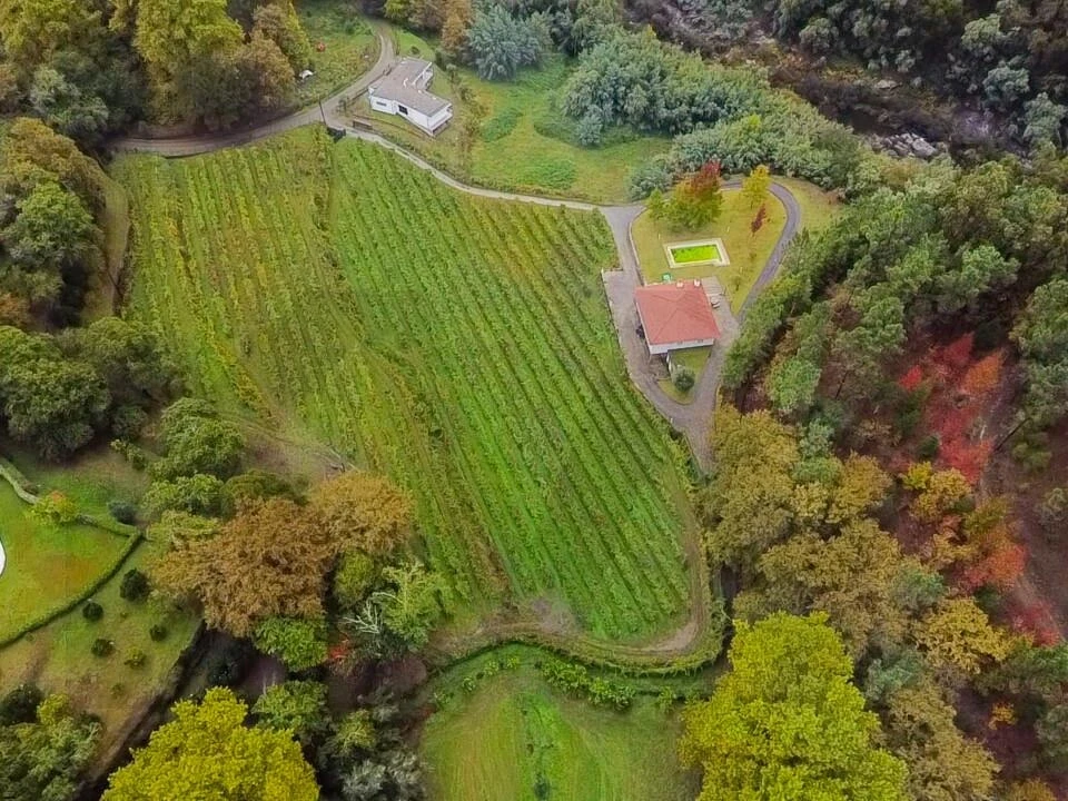 Quinta T3 para Venda em Bouro (Santa Maria) Foto 2