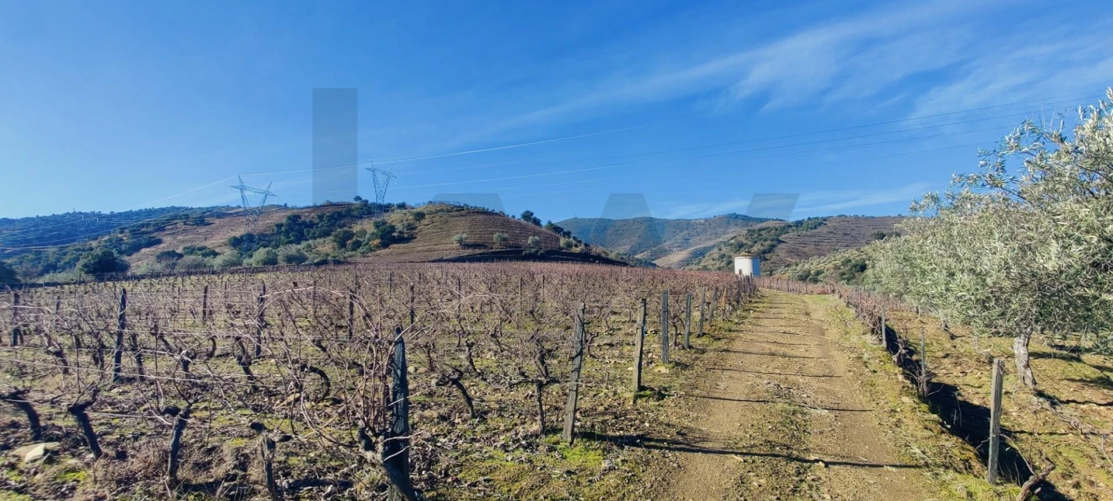 Terreno para Venda em Vila Nova de Foz Côa Foto 4