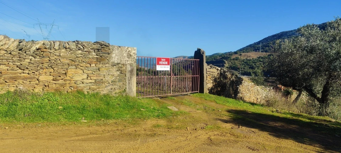 Terreno para Venda em Vila Nova de Foz Côa Foto 22