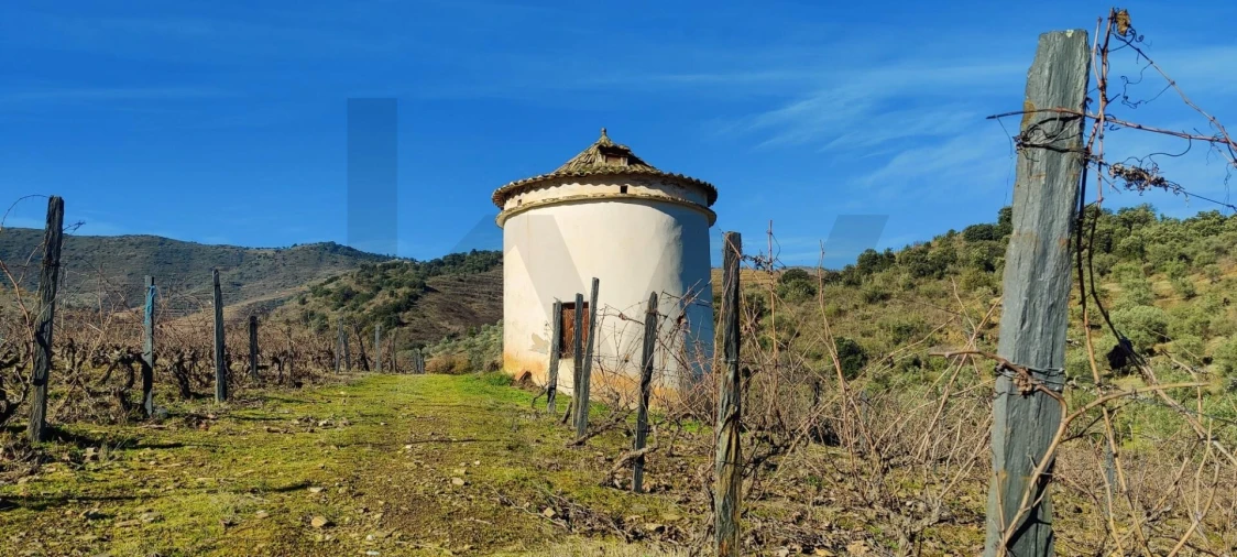Terreno para Venda em Vila Nova de Foz Côa Foto 15