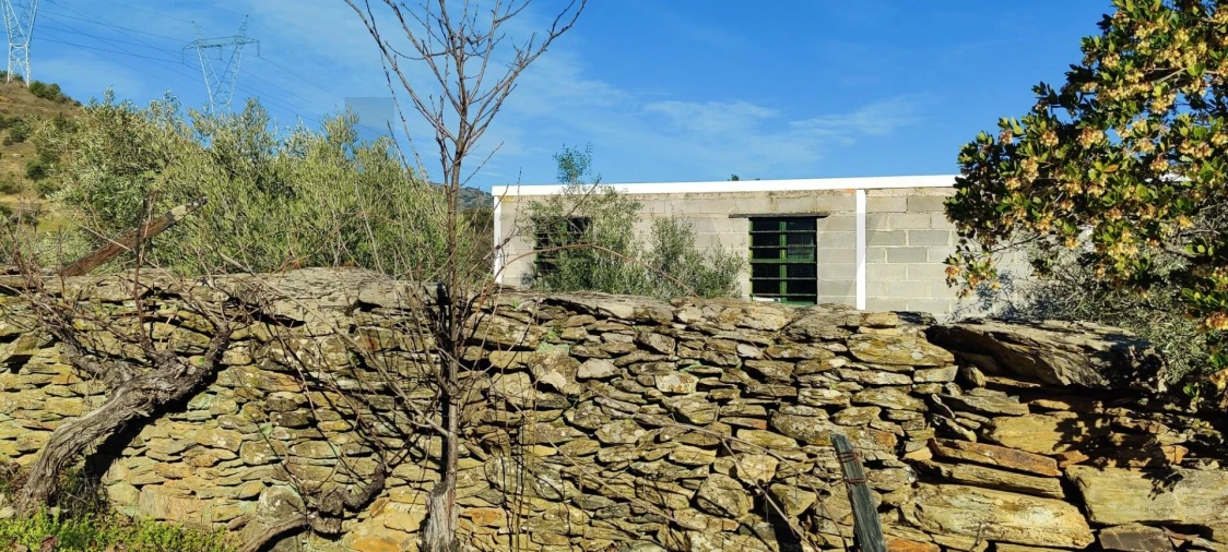 Terreno para Venda em Vila Nova de Foz Côa Foto 9