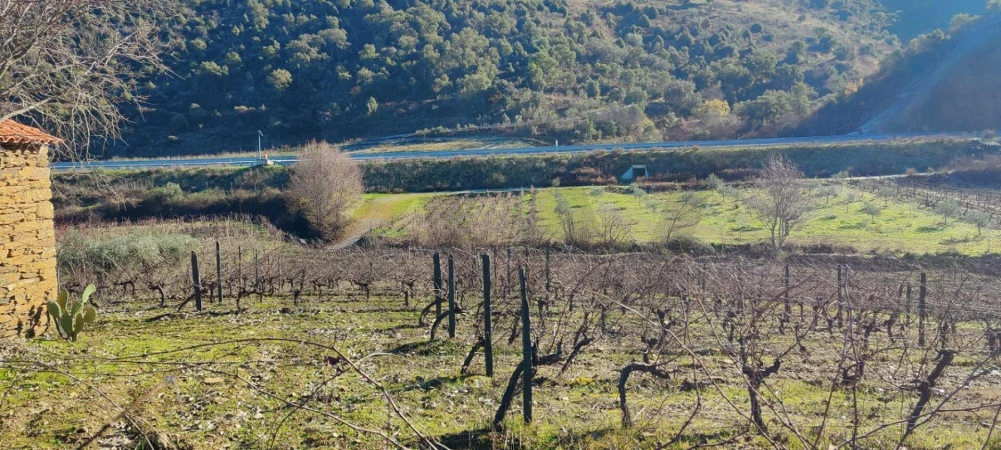 Terreno para Venda em Vila Nova de Foz Côa Foto 10
