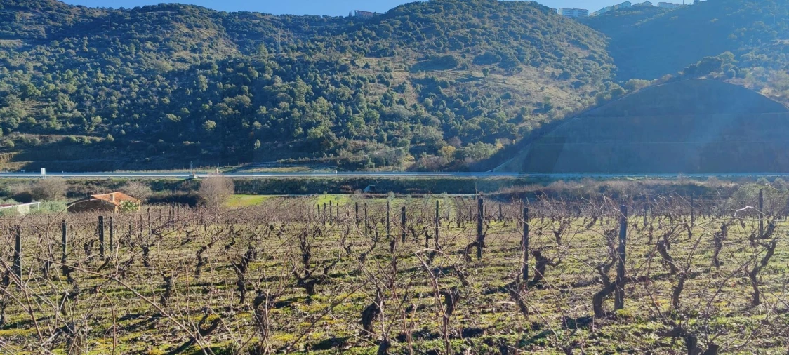 Terreno para Venda em Vila Nova de Foz Côa Foto 17