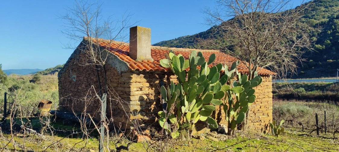 Terreno para Venda em Vila Nova de Foz Côa Foto 11