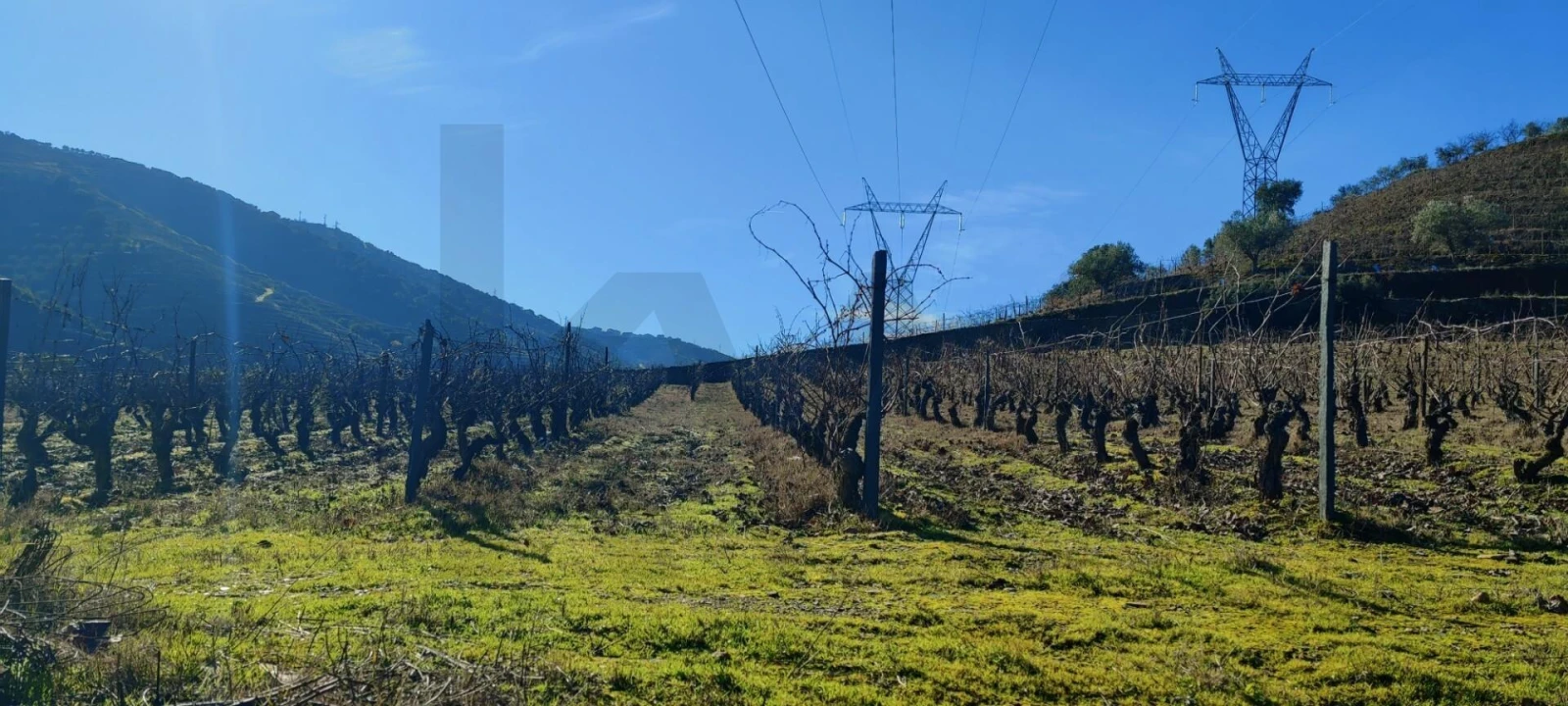 Terreno para Venda em Vila Nova de Foz Côa Foto 14