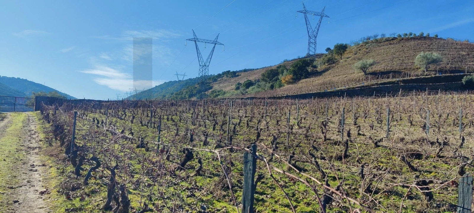 Terreno para Venda em Vila Nova de Foz Côa Foto 16