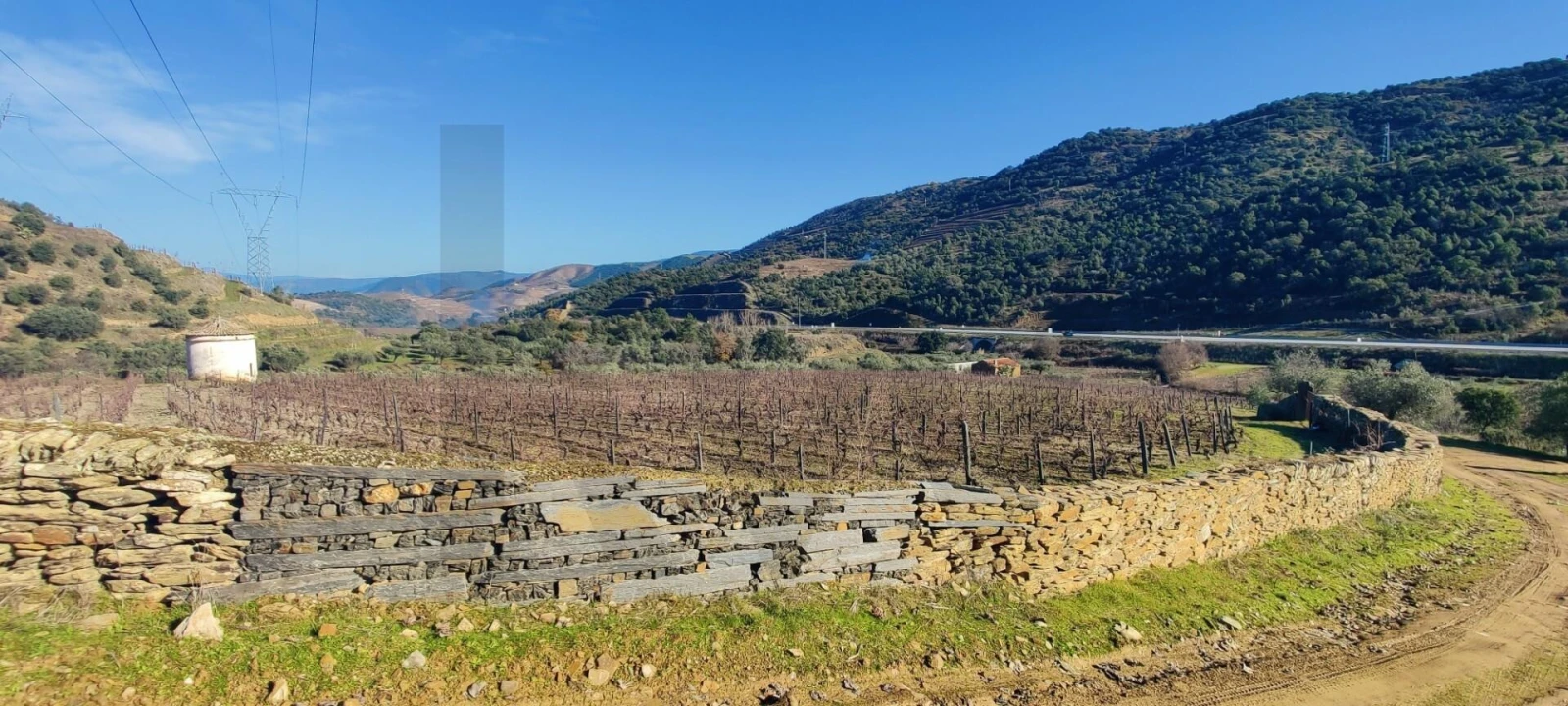Terreno para Venda em Vila Nova de Foz Côa Foto 2