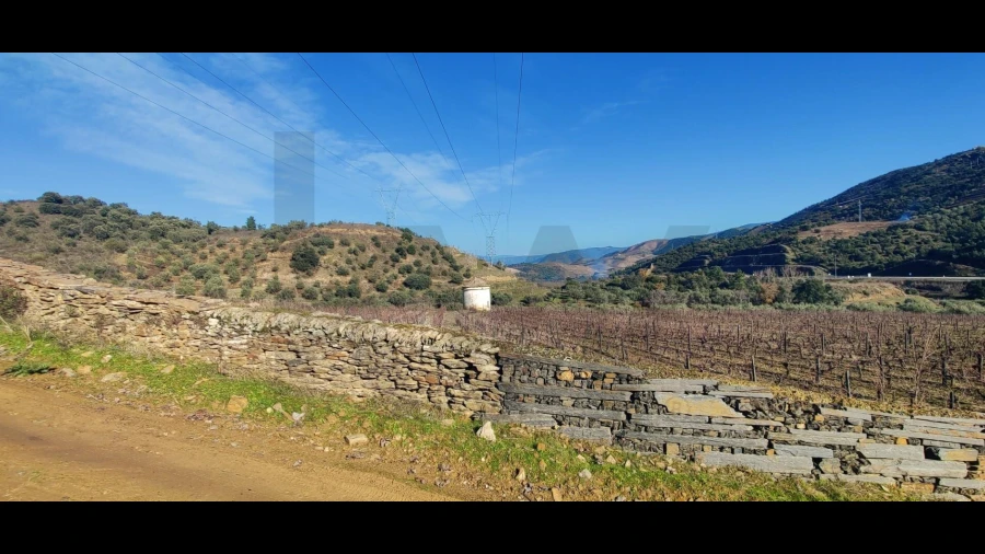 Terreno para Venda em Vale do Seixo e Vila Garcia