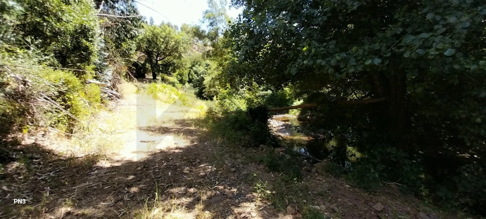Terreno para Venda em Alferce Foto 19