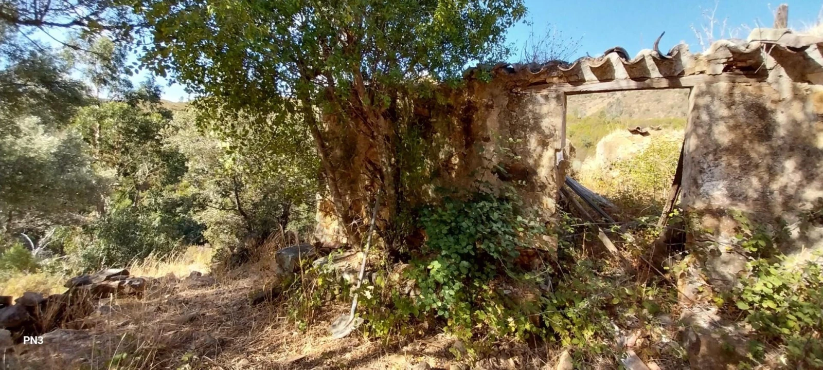 Terreno para Venda em Alferce Foto 4