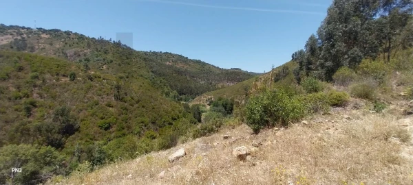 Terreno para Venda em Alferce