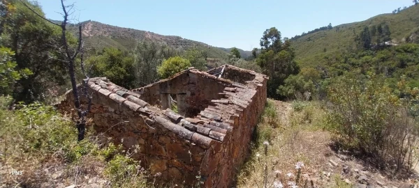 Terreno para Venda em Alferce
