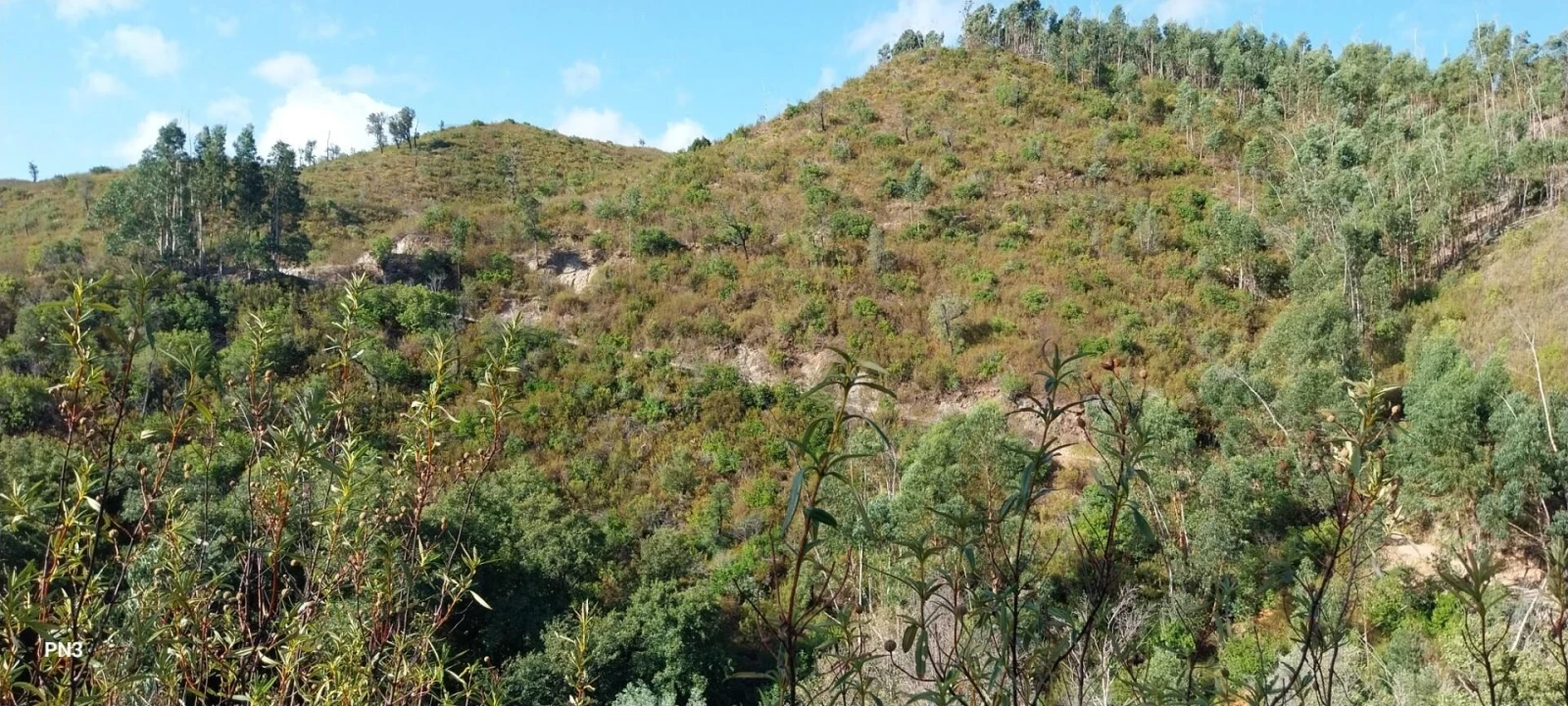 Terreno para Venda em Alferce Foto 14