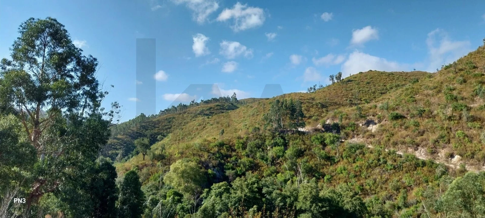 Terreno para Venda em Alferce Foto 15