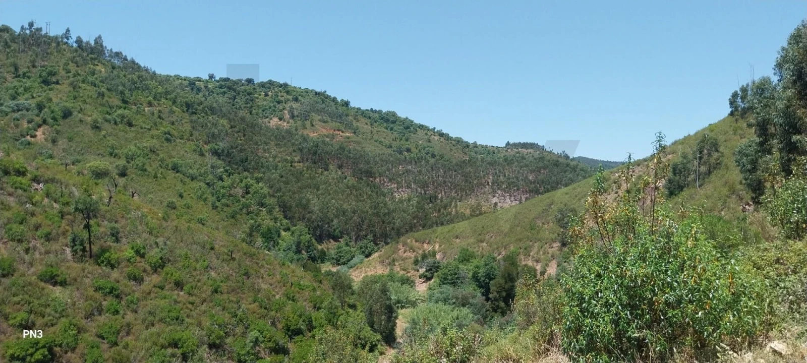 Terreno para Venda em Alferce Foto 12