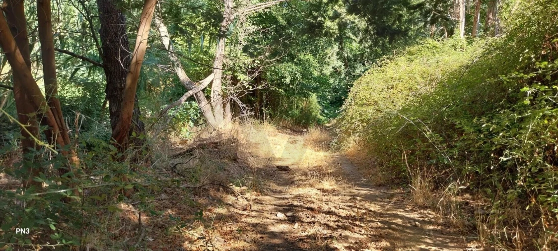 Terreno para Venda em Alferce Foto 22