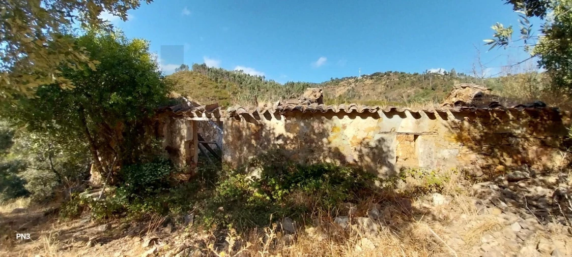 Terreno para Venda em Alferce Foto 3