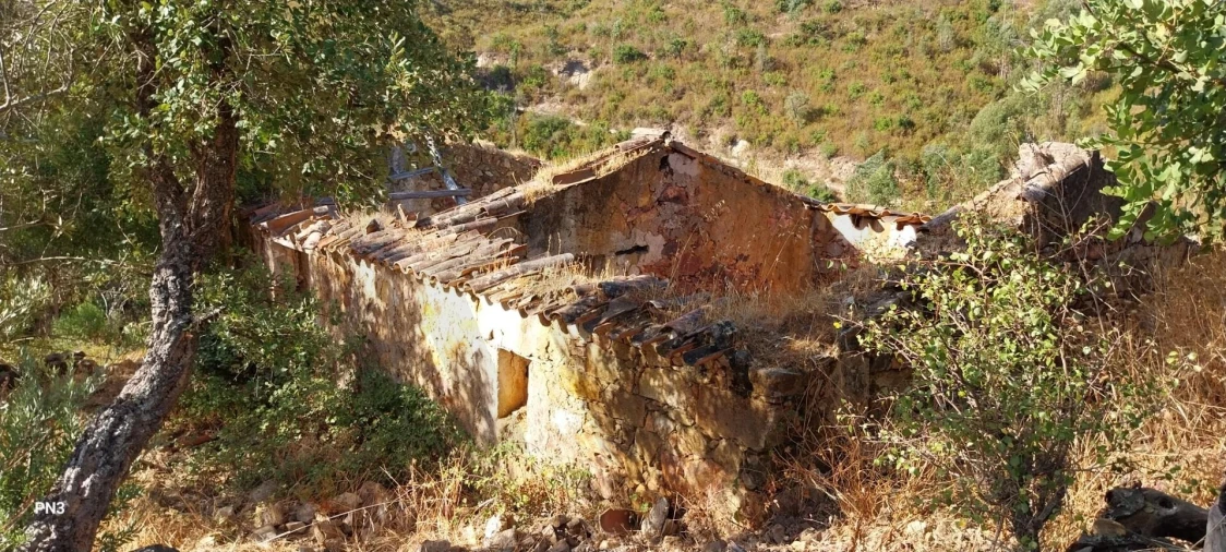Terreno para Venda em Alferce Foto 2