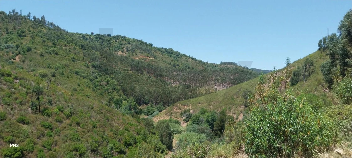 Terreno para Venda em Alferce Foto 12