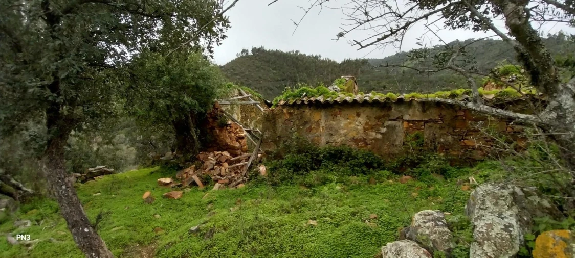 Terreno para Venda em Alferce Foto 4